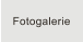 Fotogalerie